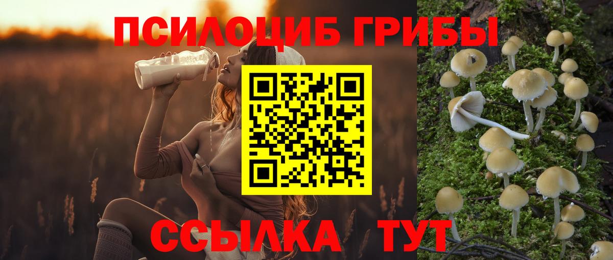 Псилоцибиновые грибы прущие грибы Татарск